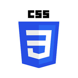 nauka programowania CSS Rzeszów